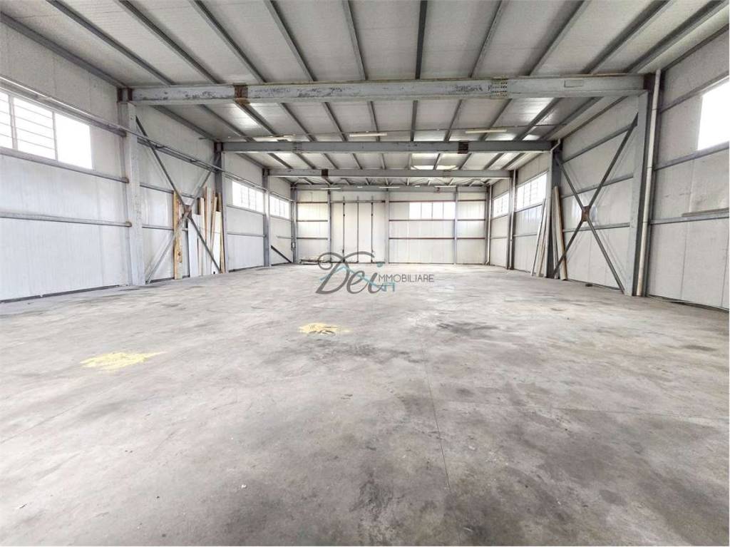 immagine annuncio 6 di 11