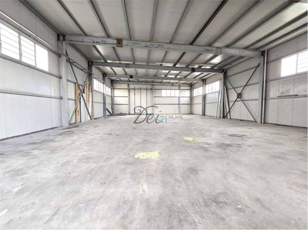 immagine annuncio 8 di 11