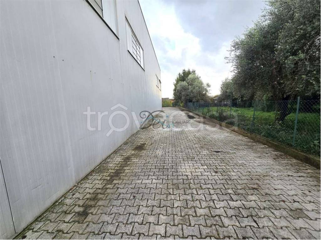 immagine annuncio 9 di 11