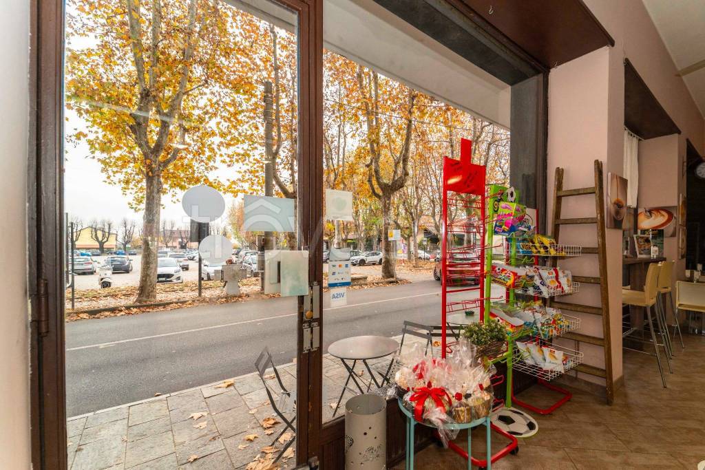 immagine annuncio 10 di 15