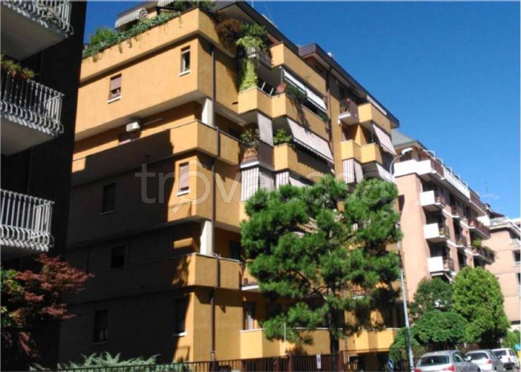 immagine annuncio 5 di 11