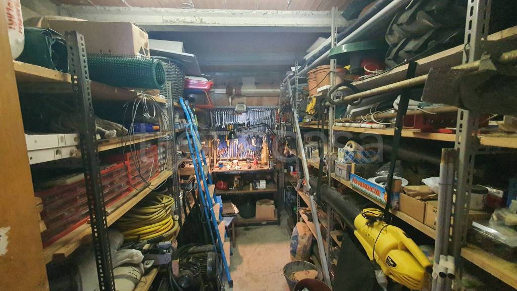 immagine annuncio 12 di 14