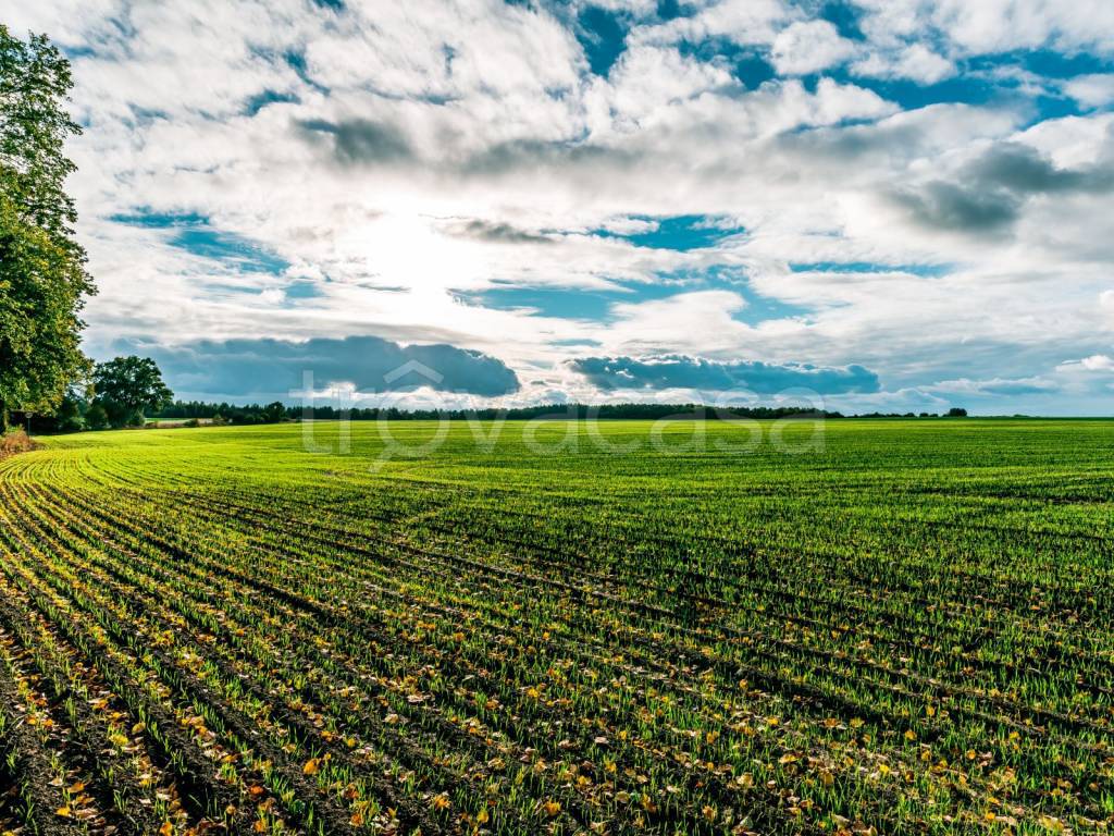 immagine annuncio 1 di 7