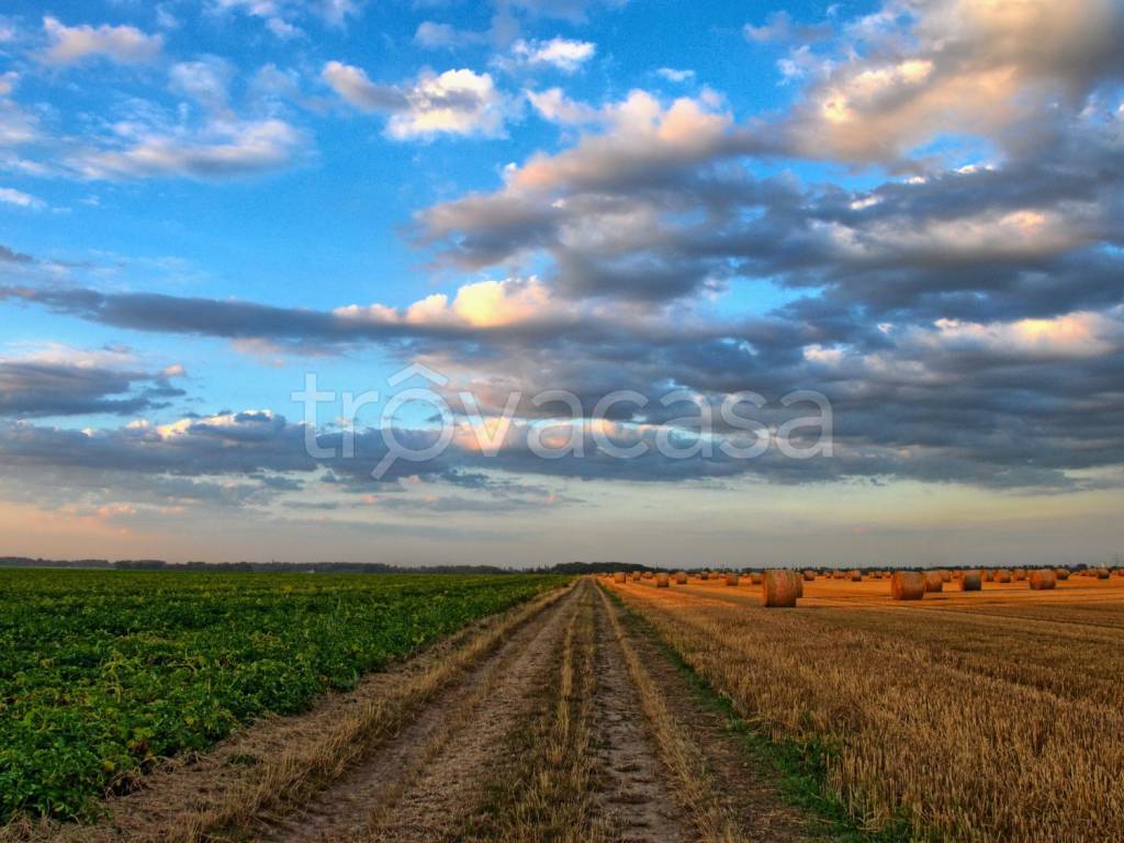 immagine annuncio 3 di 7