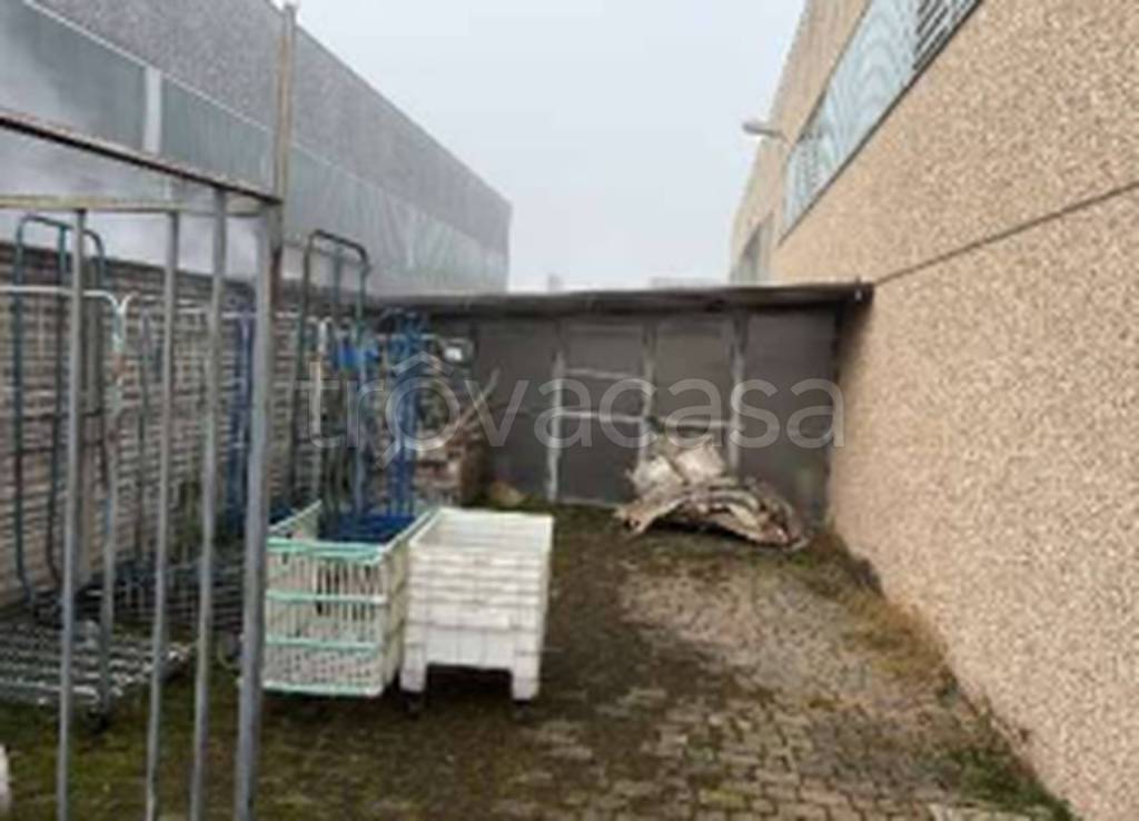 immagine annuncio 5 di 10