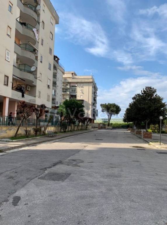 immagine annuncio 10 di 11