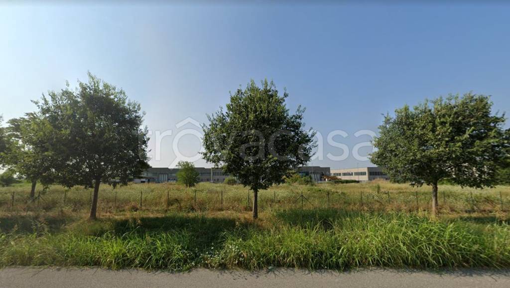 immagine annuncio 1 di 8