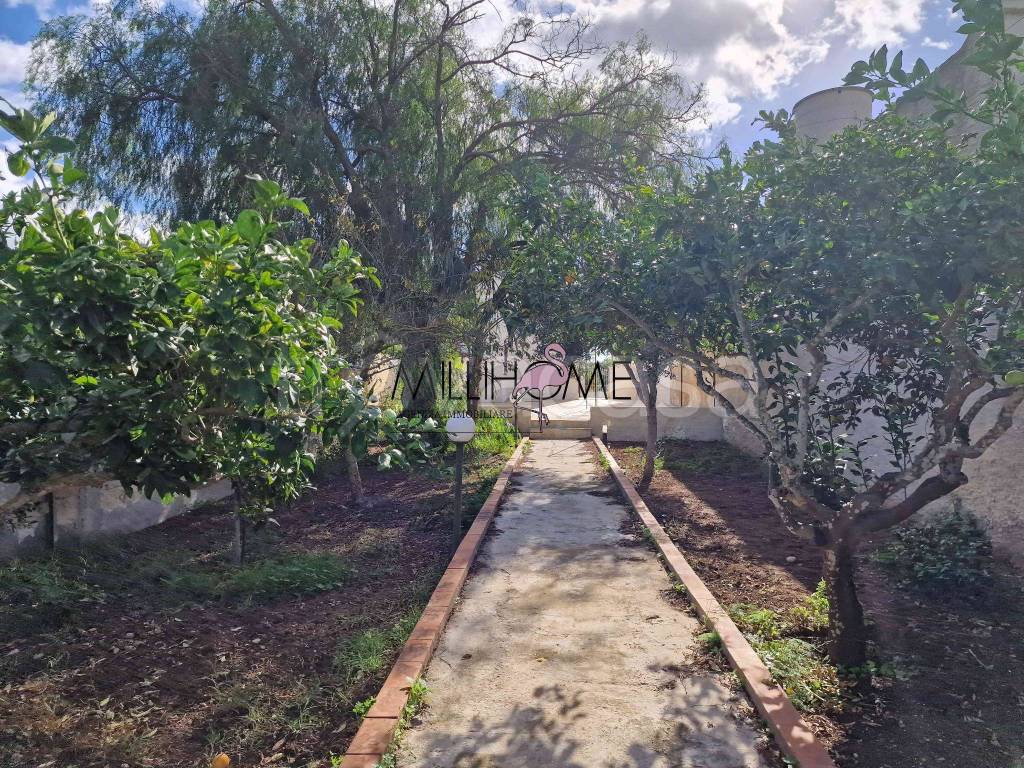 immagine annuncio 9 di 11