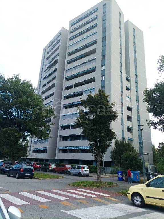 immagine annuncio 4 di 15