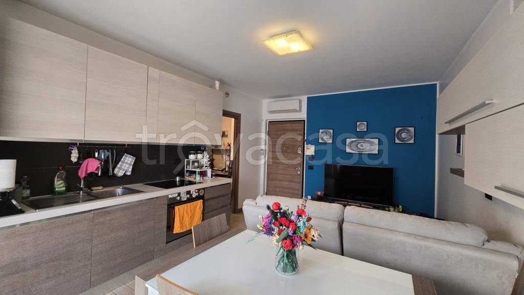 immagine annuncio 3 di 12