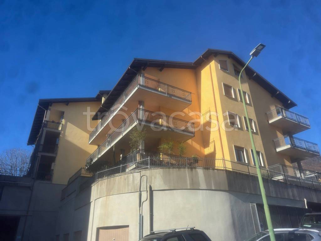 immagine annuncio 1 di 12