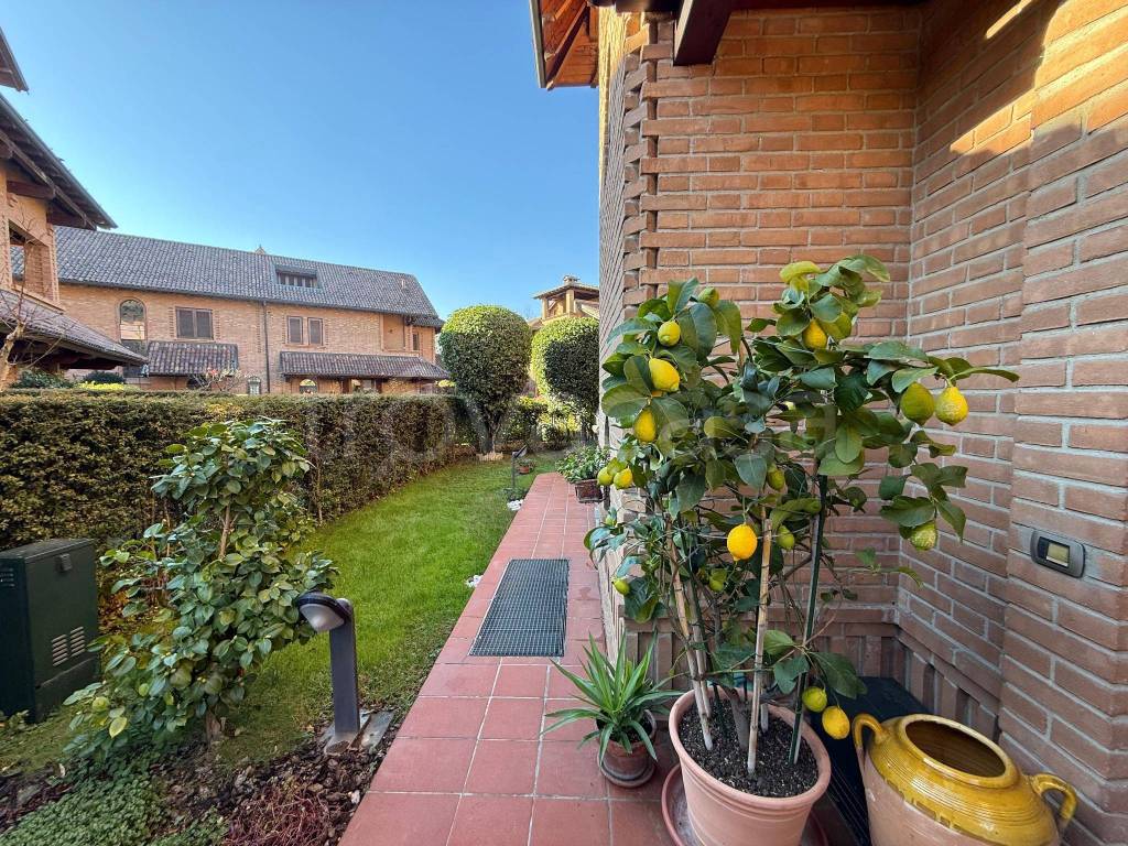 immagine annuncio 3 di 15