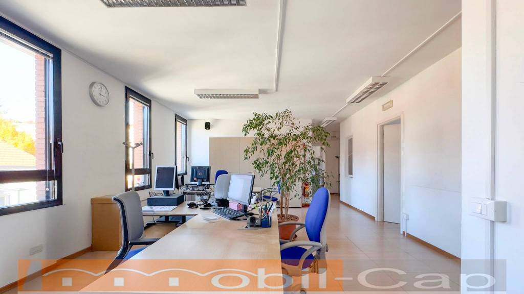 immagine annuncio 3 di 14