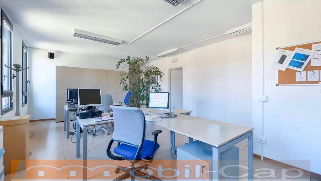 immagine annuncio 4 di 14