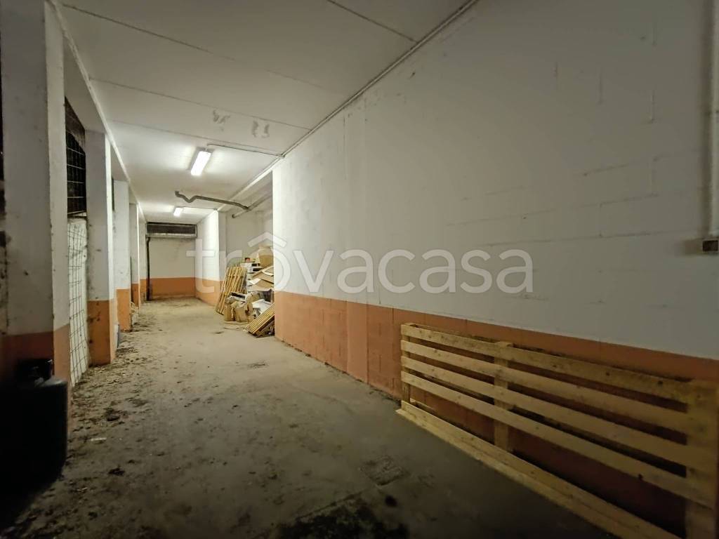 immagine annuncio 9 di 11