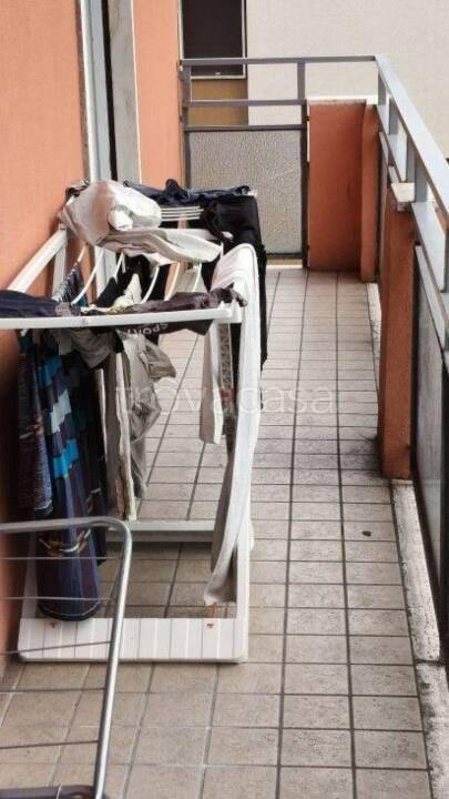 immagine annuncio 7 di 14