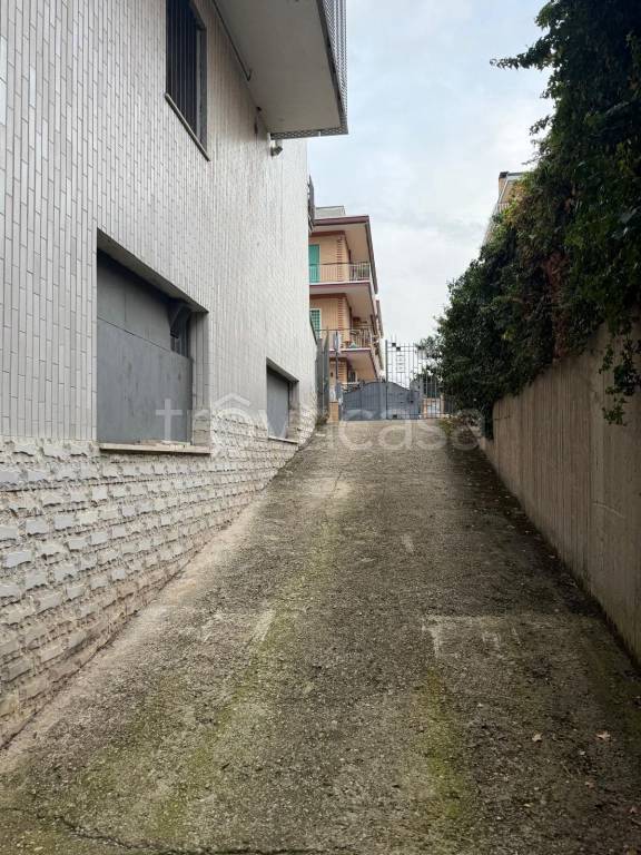 immagine annuncio 5 di 6