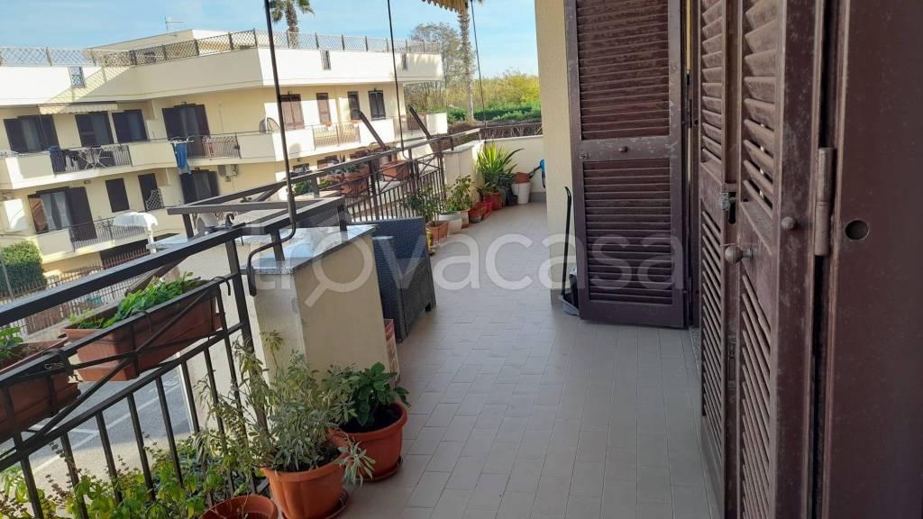 immagine annuncio 6 di 8