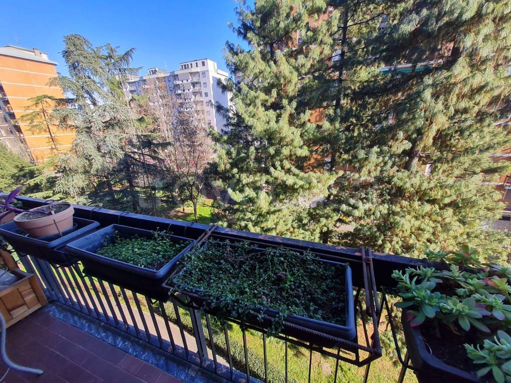 immagine annuncio 9 di 11