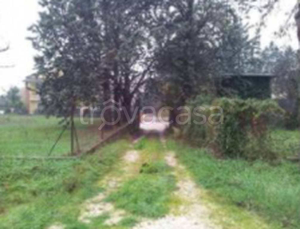 immagine annuncio 8 di 12