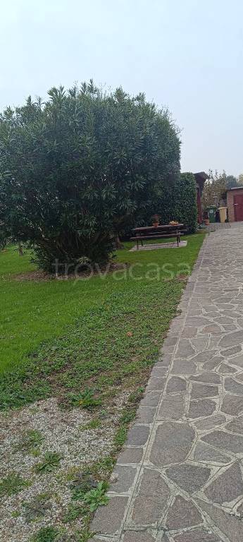 immagine annuncio 9 di 11