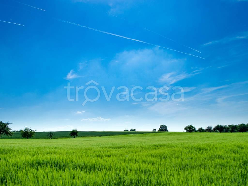 immagine annuncio 4 di 6