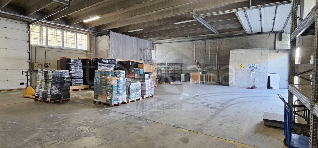 immagine annuncio 7 di 15