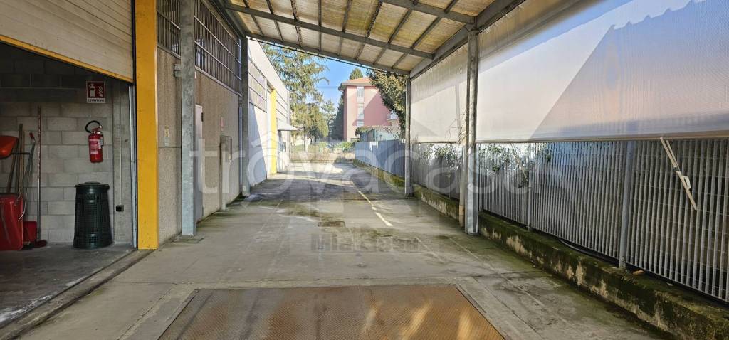 immagine annuncio 12 di 15