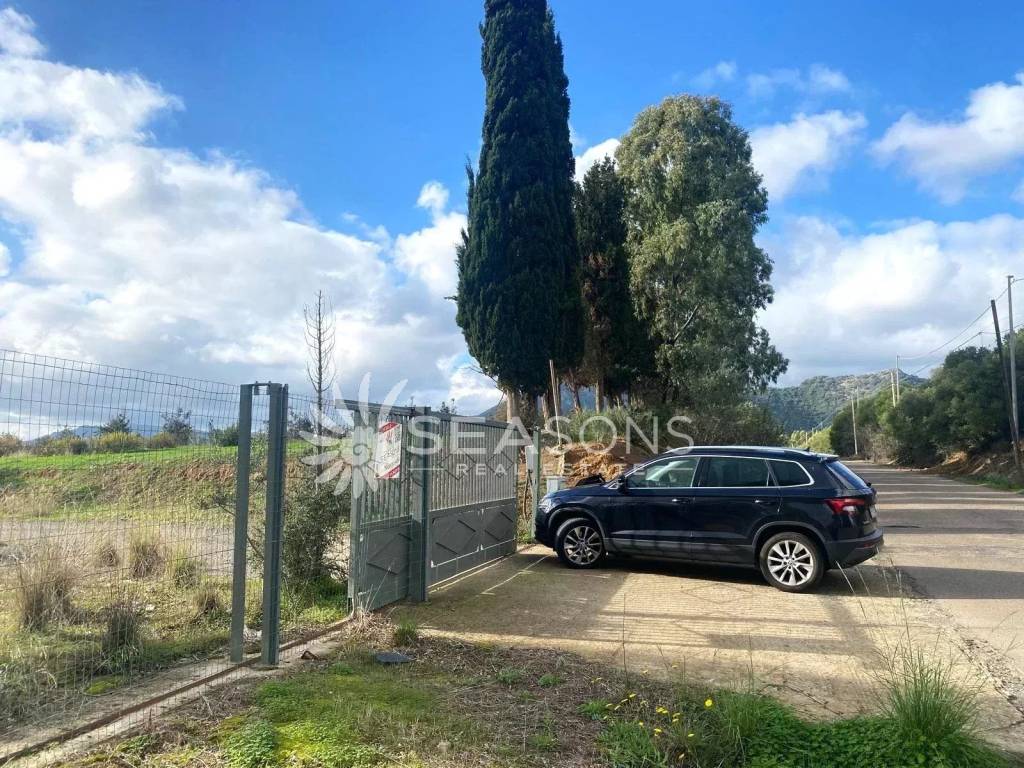 immagine annuncio 4 di 11