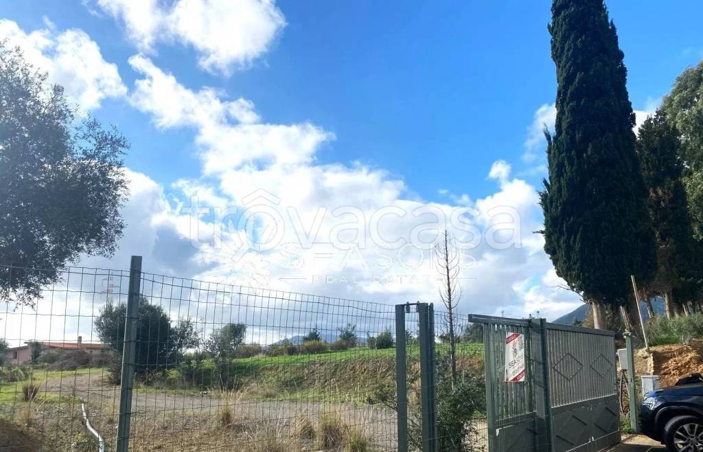 immagine annuncio 6 di 11