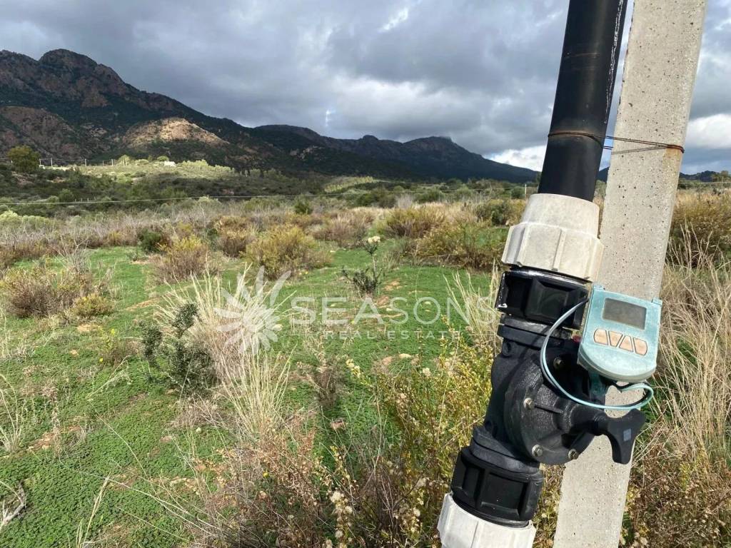 immagine annuncio 8 di 11