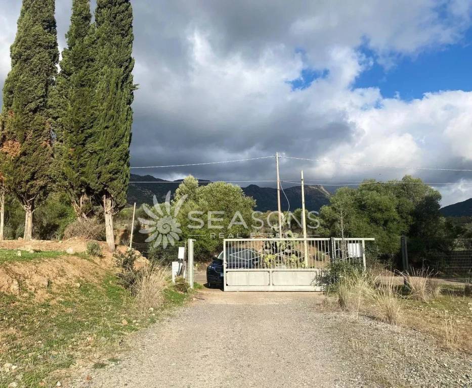 immagine annuncio 9 di 11