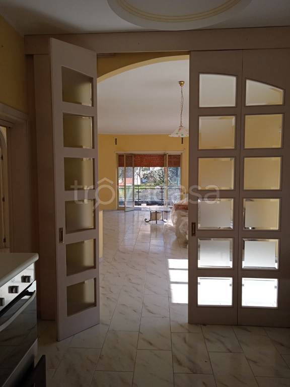 immagine annuncio 12 di 14