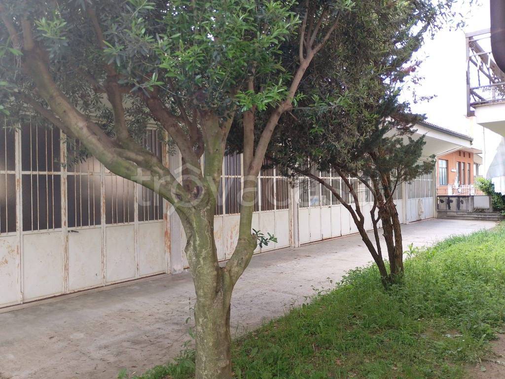 immagine annuncio 2 di 3