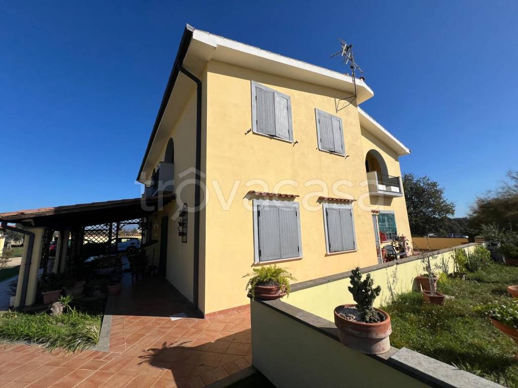 immagine annuncio 2 di 7