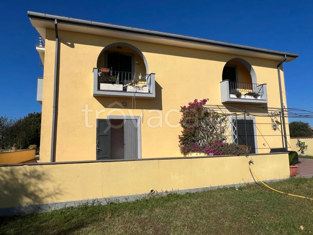 immagine annuncio 5 di 7