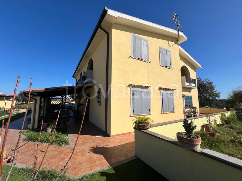 immagine annuncio 6 di 7