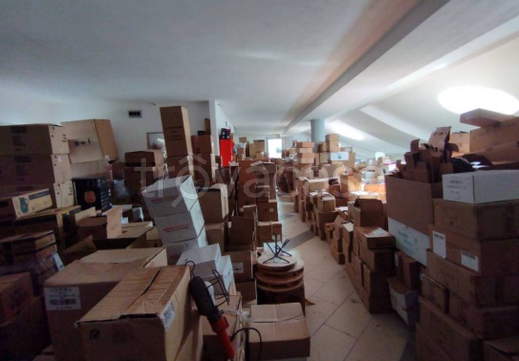 immagine annuncio 4 di 11