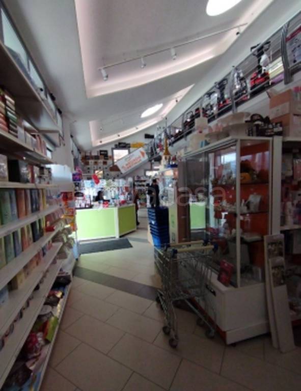 immagine annuncio 7 di 11