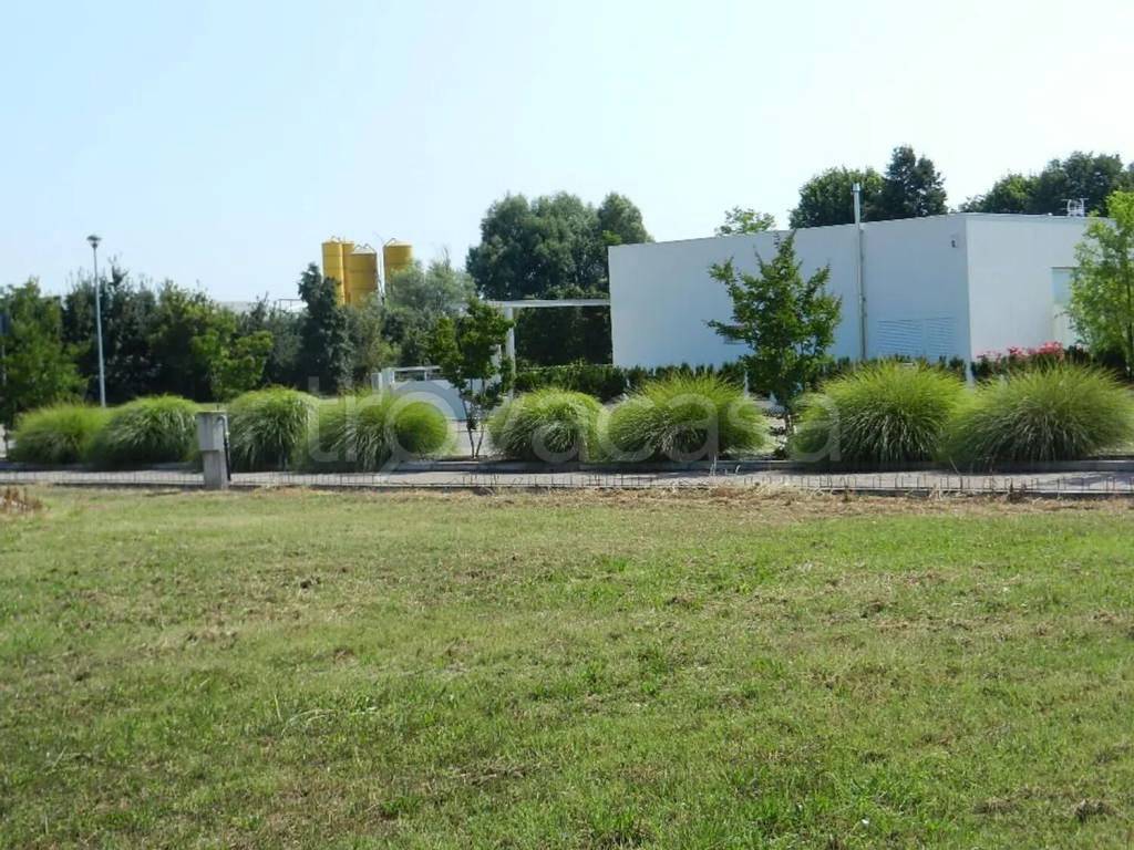 immagine annuncio 3 di 6