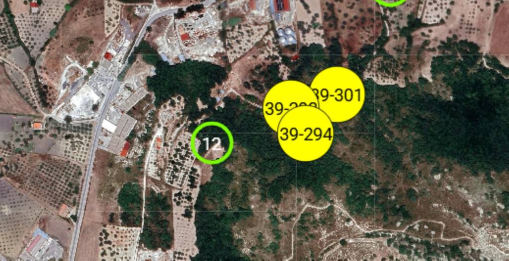 immagine annuncio 3 di 11