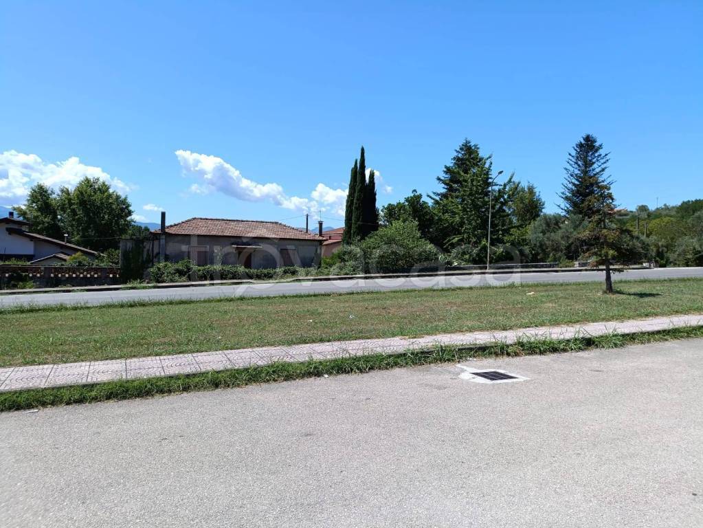 immagine annuncio 3 di 12