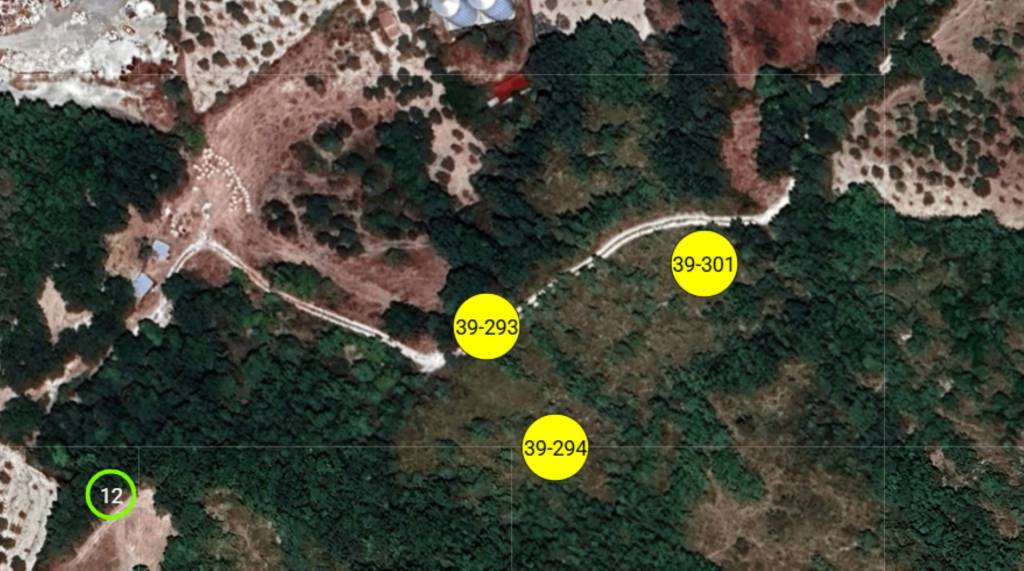 immagine annuncio 9 di 11