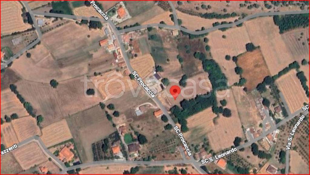 immagine annuncio 11 di 12