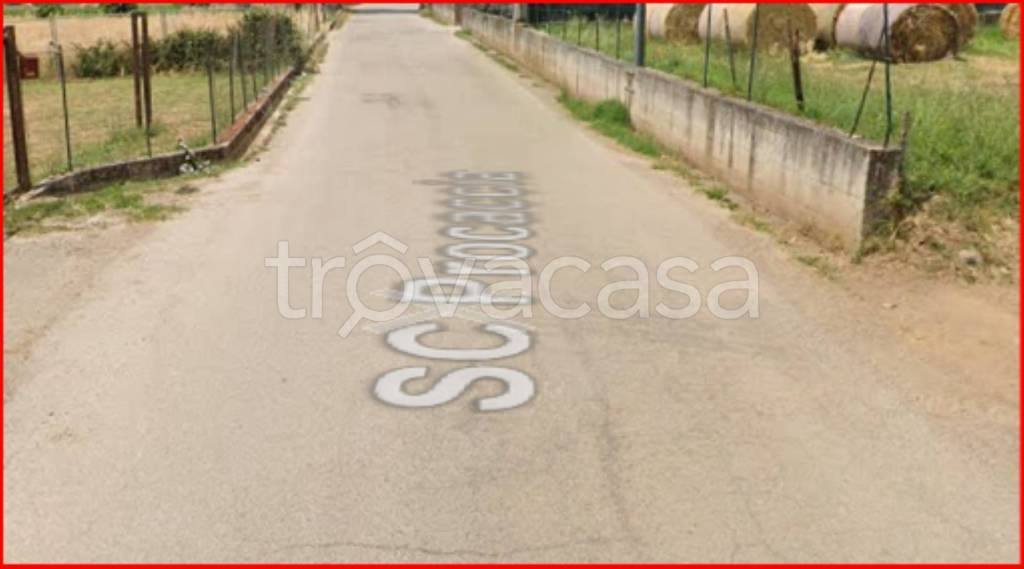 immagine annuncio 9 di 12