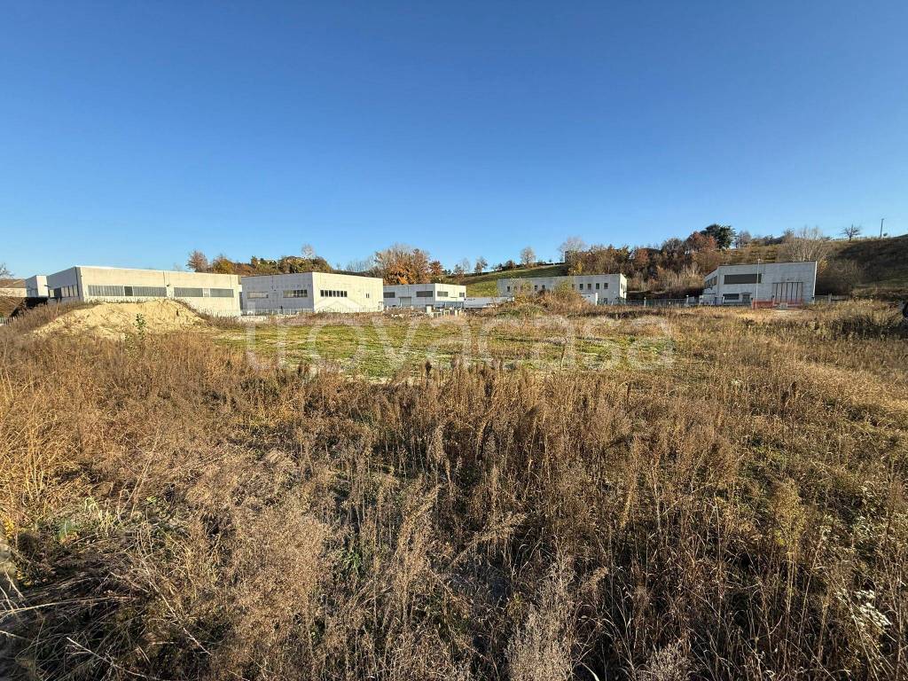 immagine annuncio 6 di 10