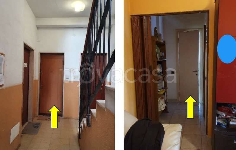 immagine annuncio 1 di 7