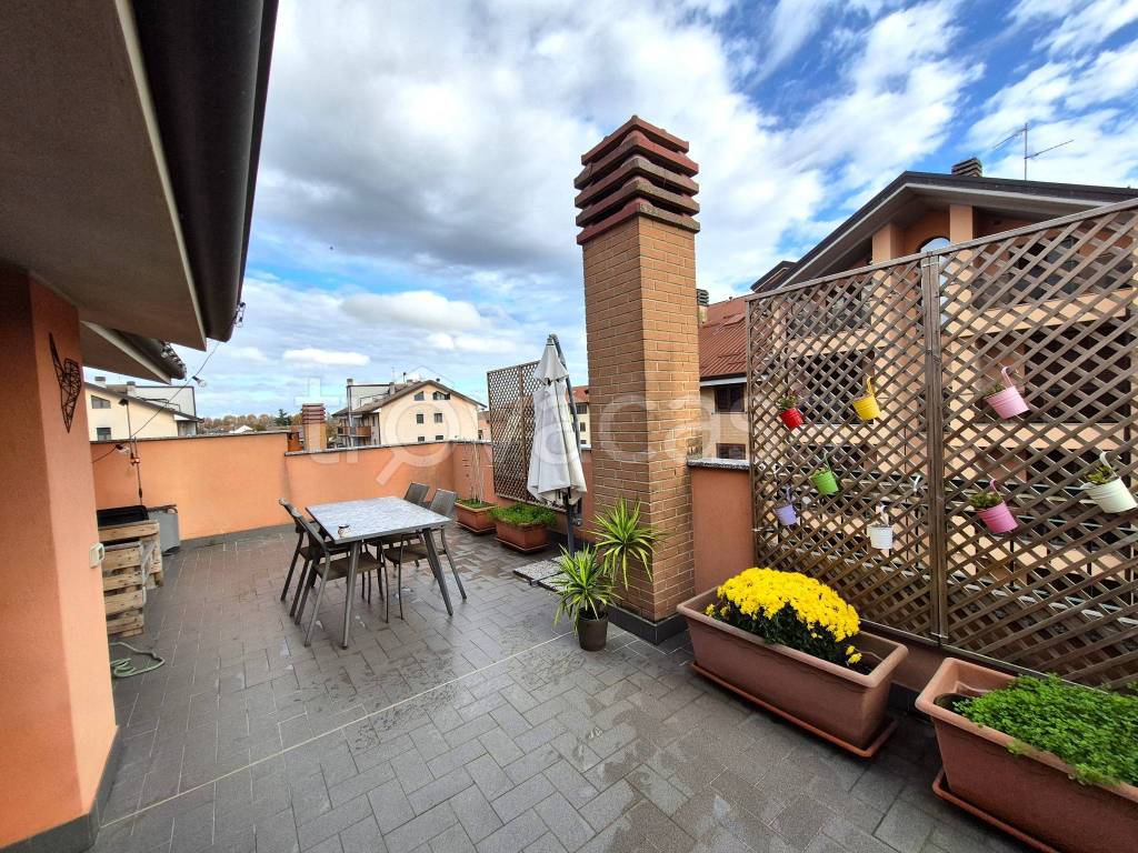 immagine annuncio 9 di 15