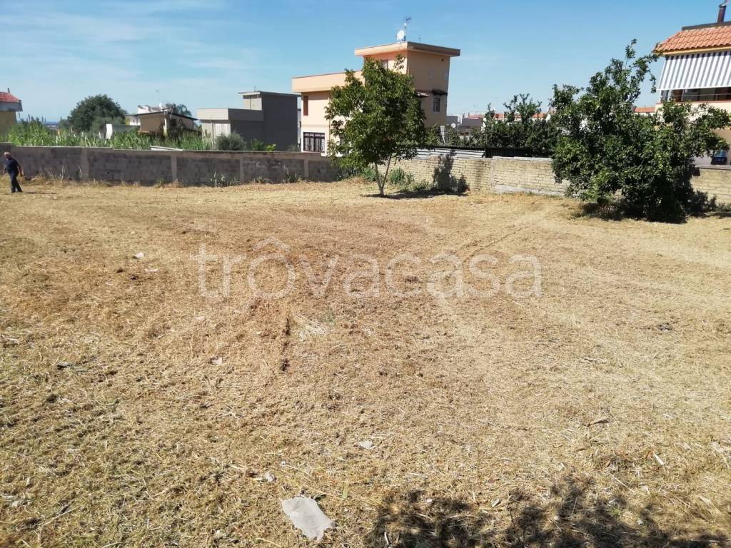 immagine annuncio 3 di 8