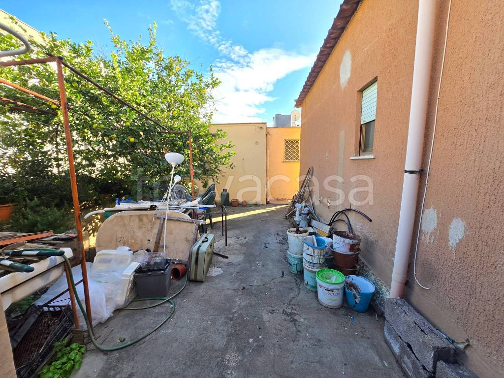 immagine annuncio 12 di 14